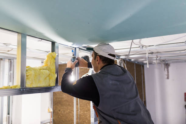 Best Insulation Maintenance and Repair in South Zanesville, OH