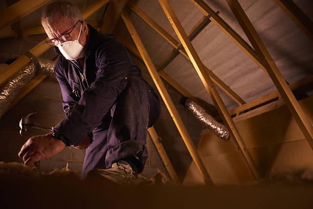 Best Insulation for Specific Applications in South Zanesville, OH